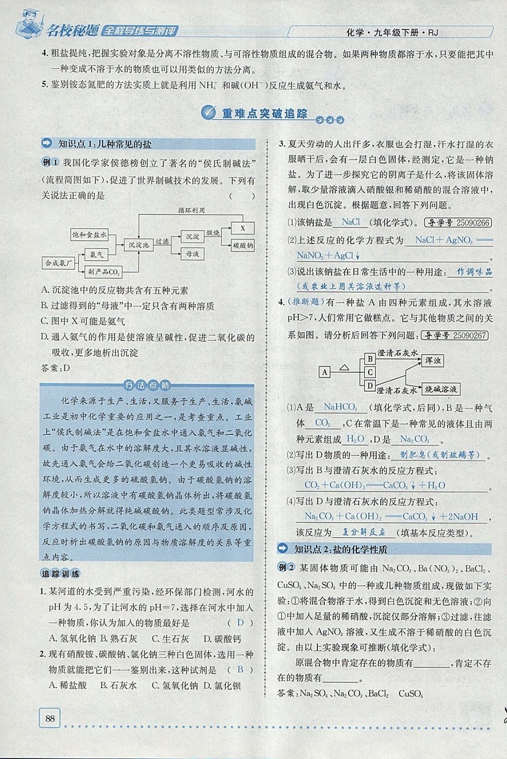 2018年名校秘題全程導練九年級化學下冊人教版 參考答案第63頁