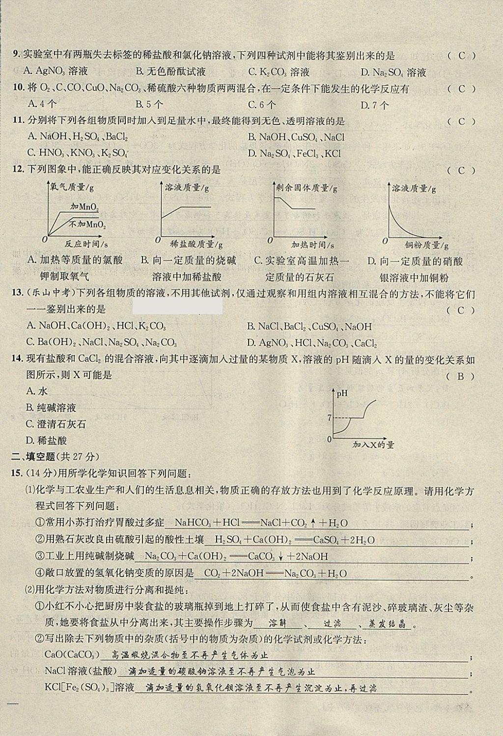 2018年名校秘题全程导练九年级化学下册人教版 参考答案第119页