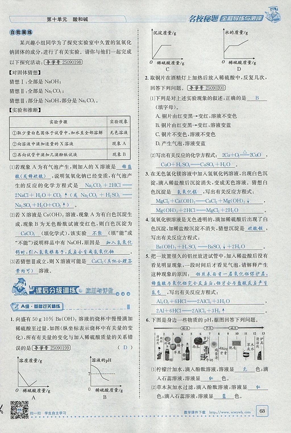 2018年名校秘题全程导练九年级化学下册人教版 参考答案第94页