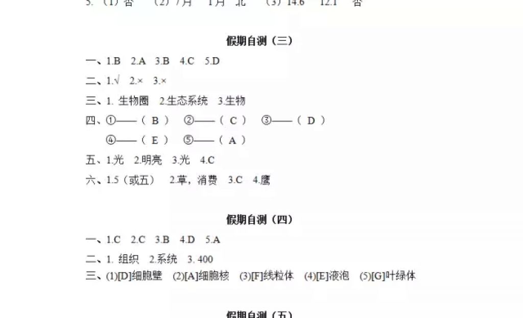 2018年寒假Happy假日七年級綜合人教版黑龍江少年兒童出版社 參考答案第14頁