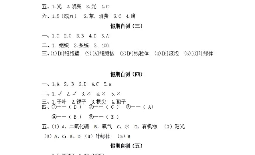 2018年寒假Happy假日六年級綜合五四制黑龍江少年兒童出版社 參考答案第12頁