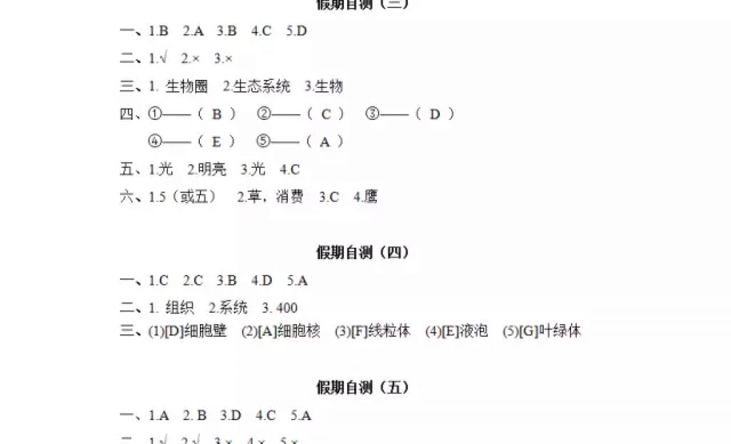 2018年寒假Happy假日七年級(jí)綜合黑龍江少年兒童出版社 參考答案第14頁