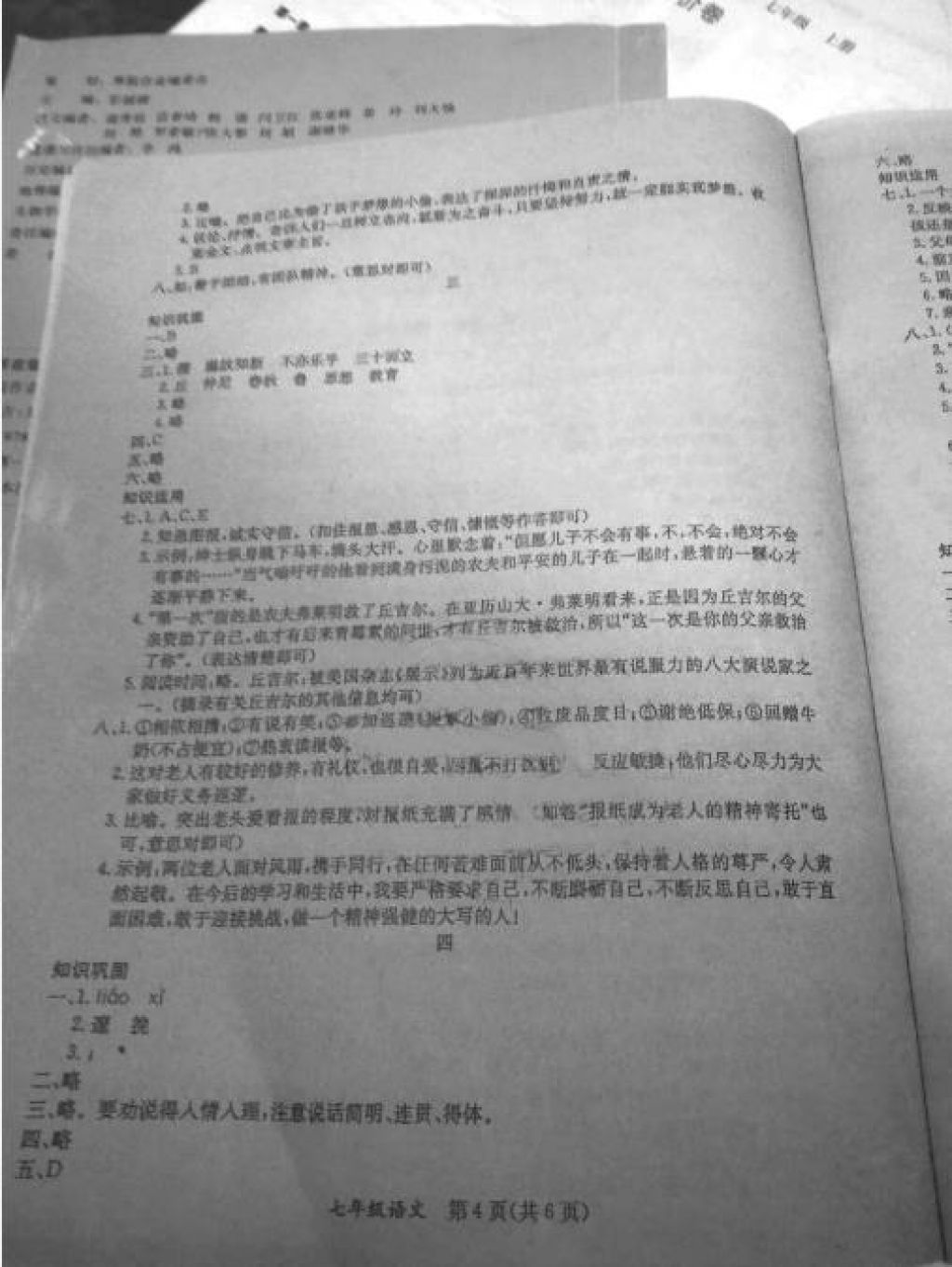 2018年寒假作业七年级合订本A版河南省专用延边教育出版社 参考答案第13页