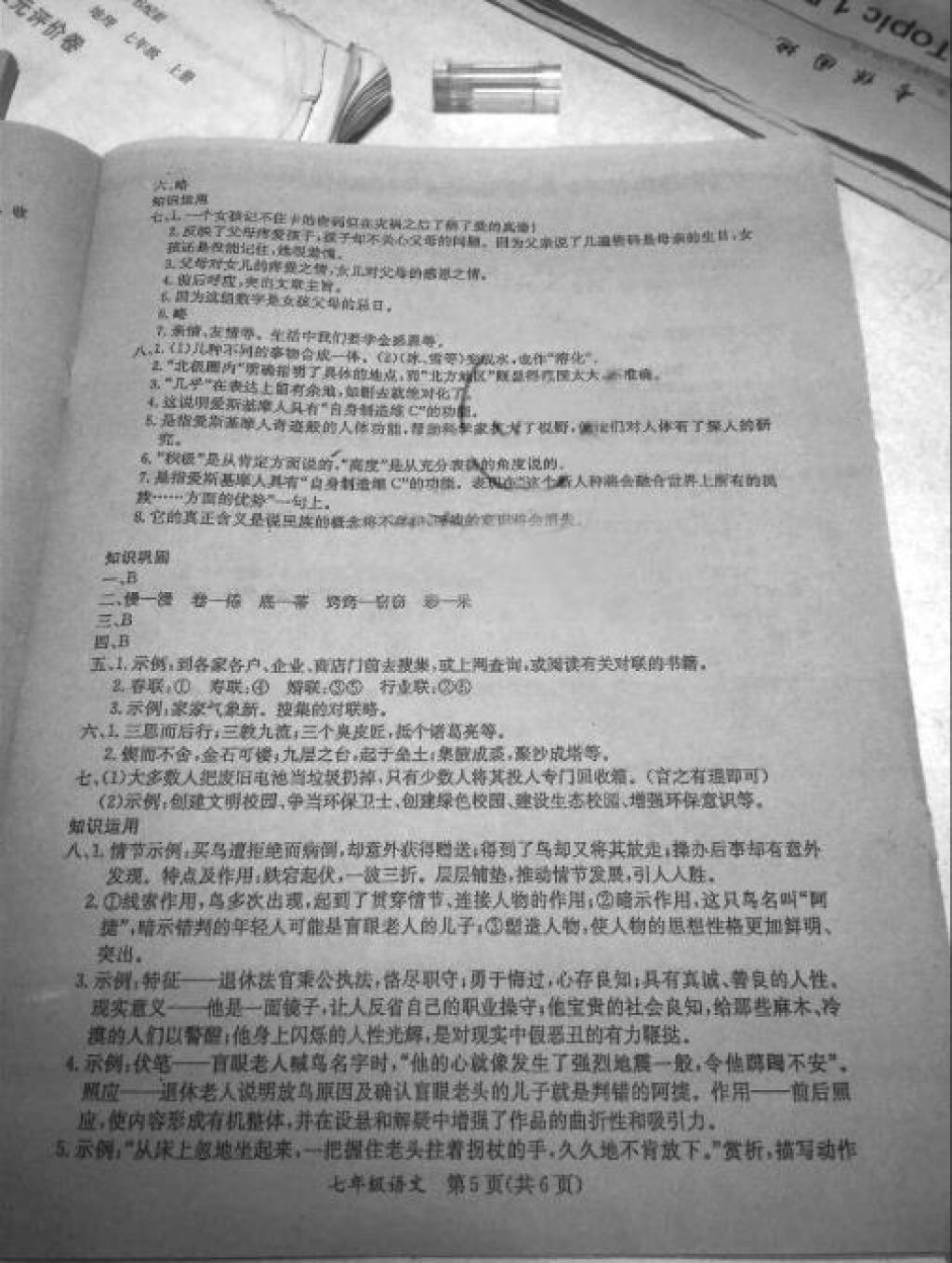 2018年寒假作业七年级合订本A版河南省专用延边教育出版社 参考答案第14页