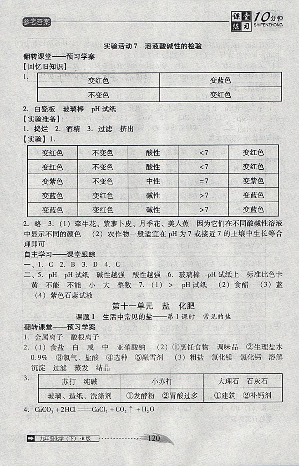 2018年翻轉課堂課堂10分鐘九年級化學下冊人教版 參考答案第12頁