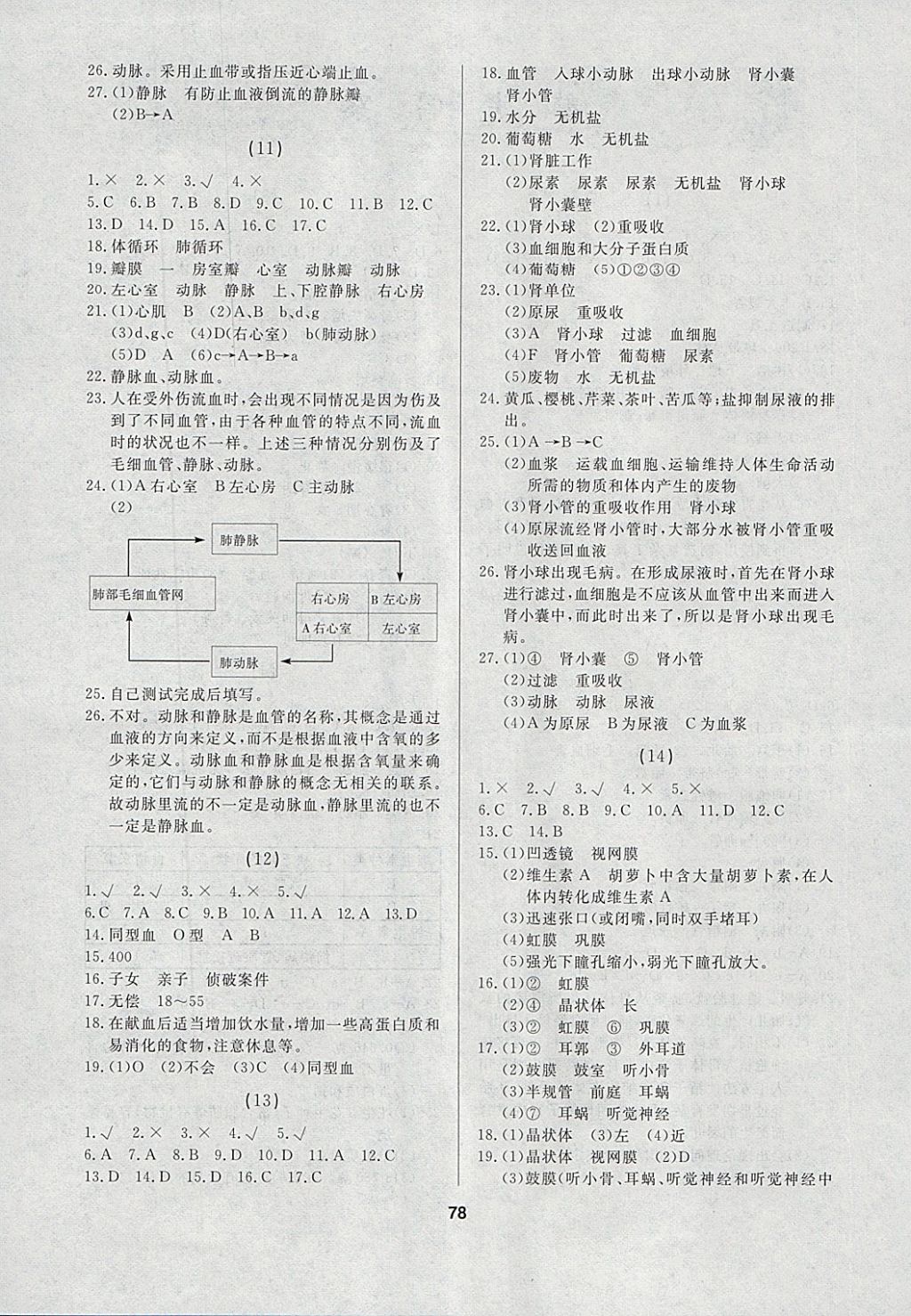 2018年试题优化课堂同步七年级生物下册人教版 参考答案第4页