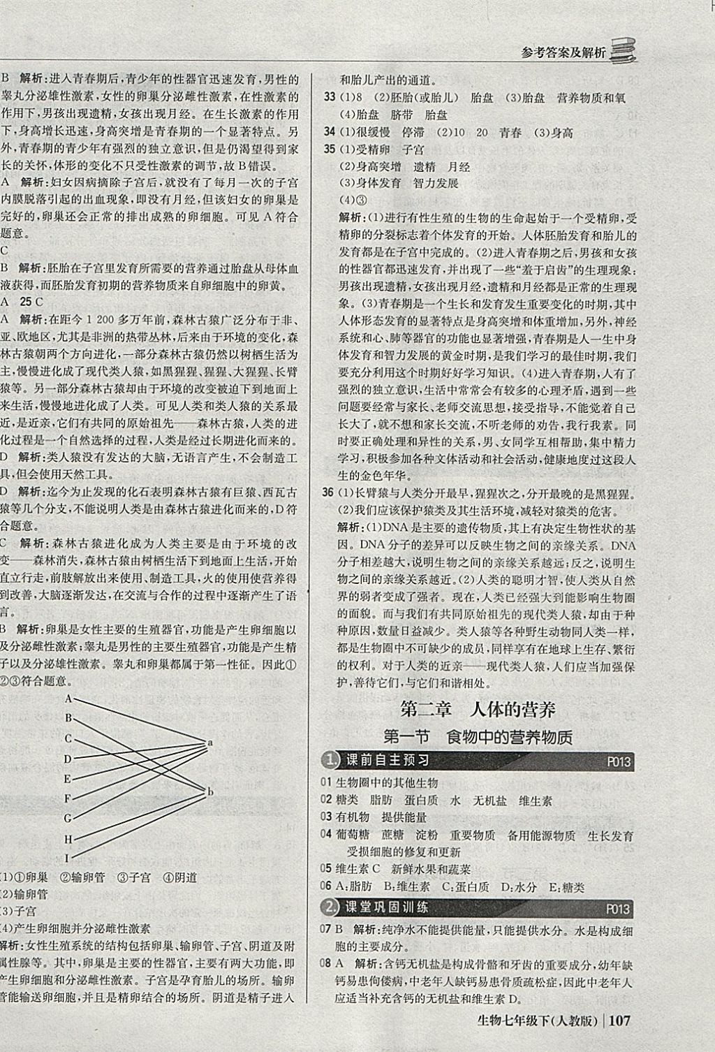 2018年1加1轻巧夺冠优化训练七年级生物下册人教版银版 参考答案第4页