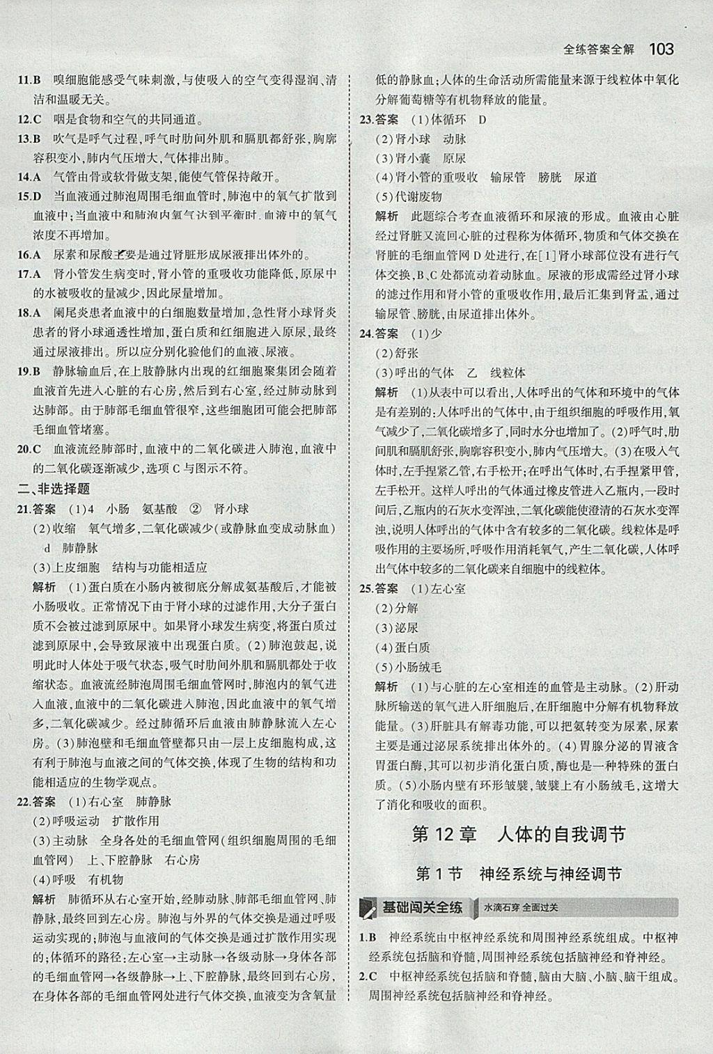 2018年5年中考3年模拟初中生物七年级下册北师大版 参考答案第19页