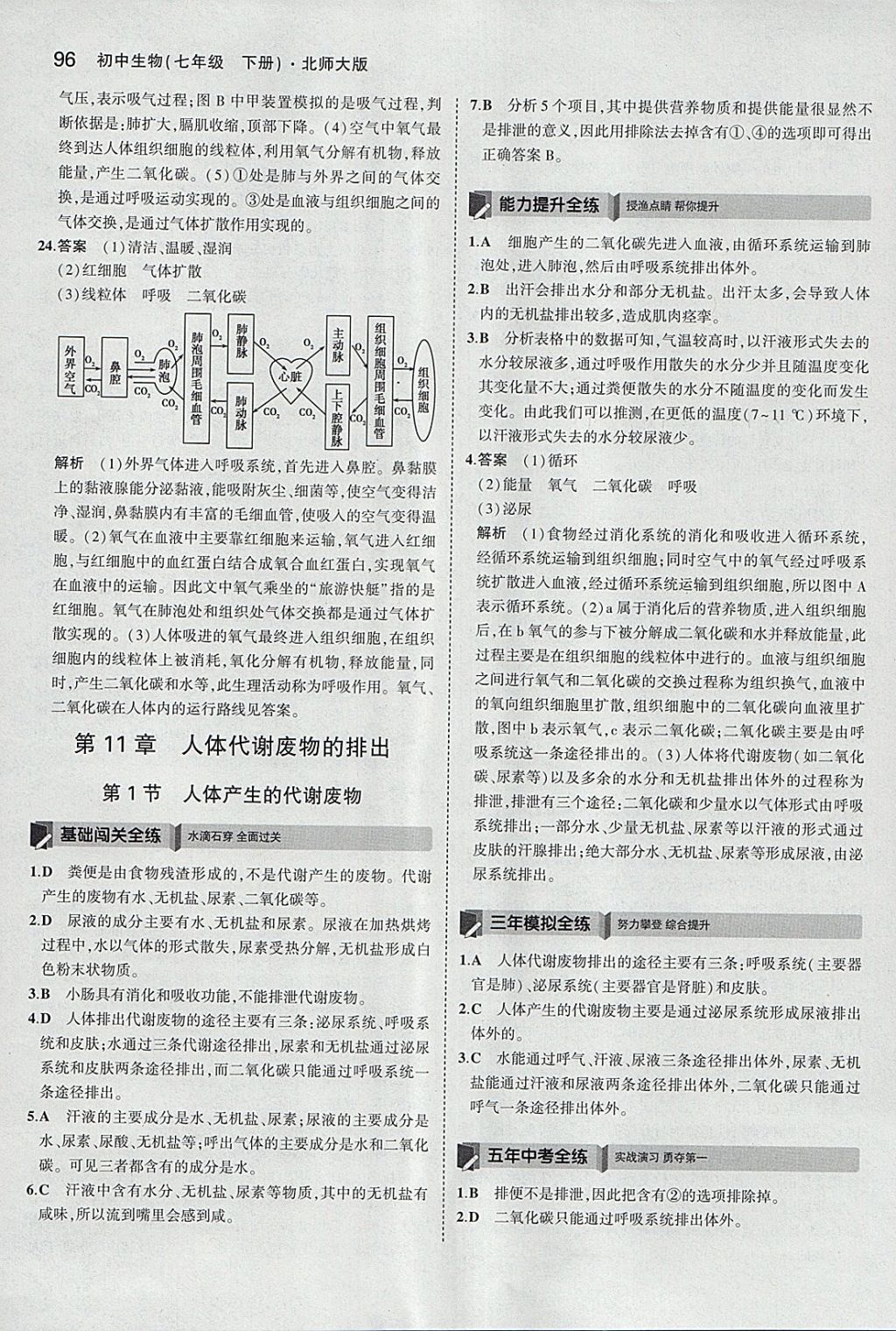 2018年5年中考3年模拟初中生物七年级下册北师大版 参考答案第12页