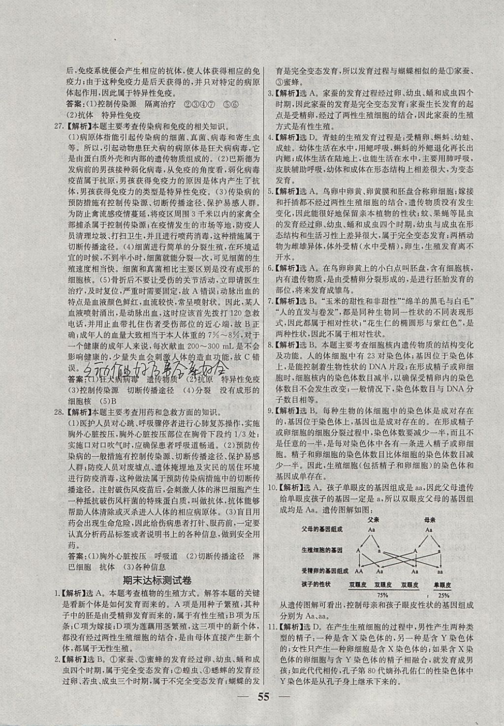 2018年優(yōu)化課堂必備滿分特訓方案試題研究八年級生物下冊人教版 參考答案第31頁