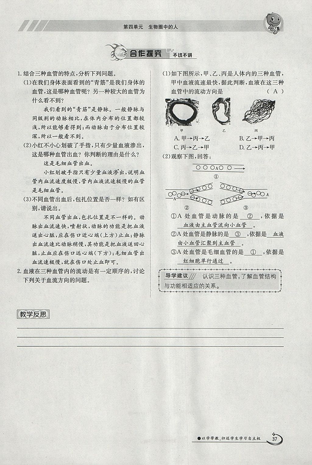 2018年金太陽導(dǎo)學(xué)案七年級(jí)生物下冊(cè)人教版 參考答案第37頁