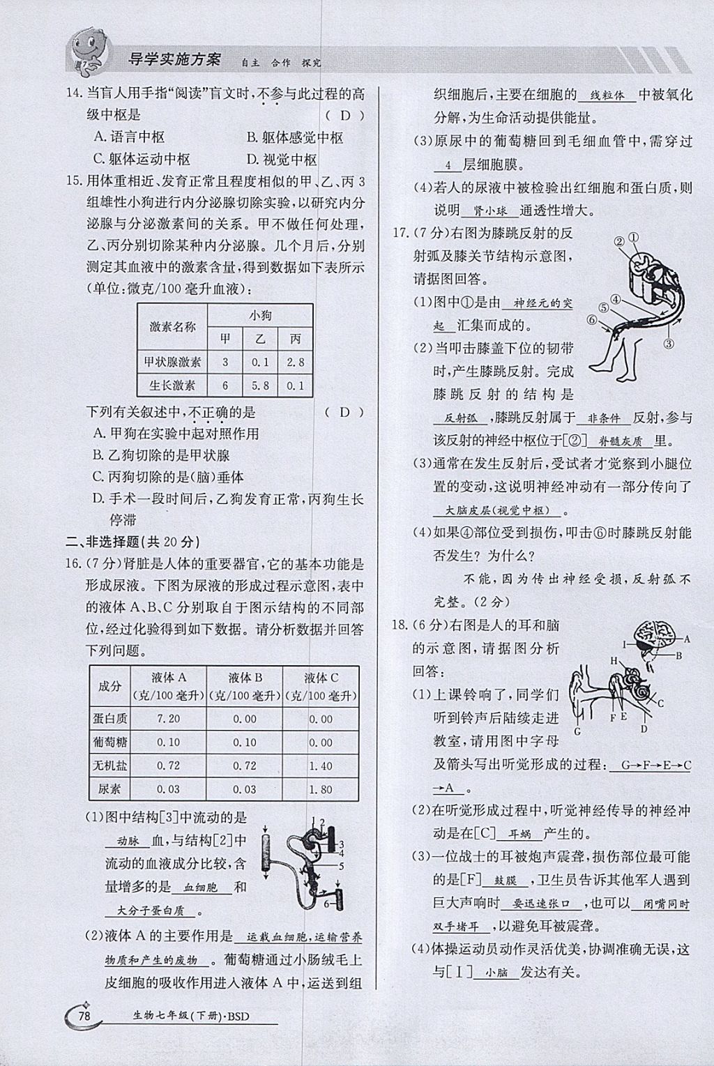 2018年金太阳导学案七年级生物下册北师大版 参考答案第78页