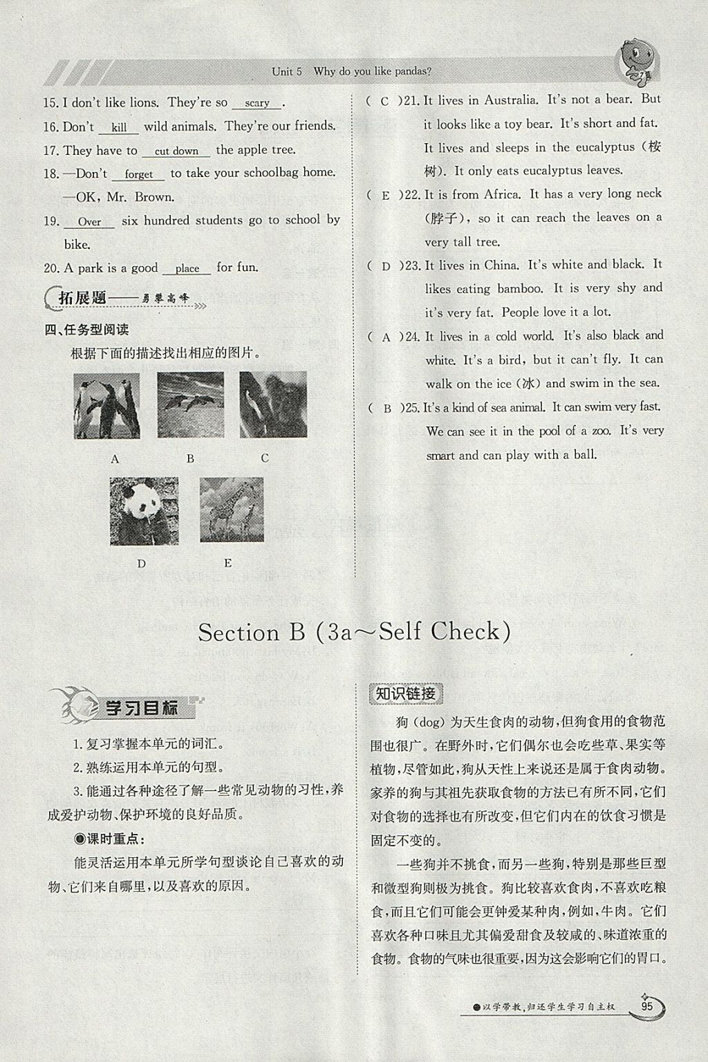 2018年金太陽(yáng)導(dǎo)學(xué)案七年級(jí)英語(yǔ)下冊(cè)人教版 參考答案第95頁(yè)