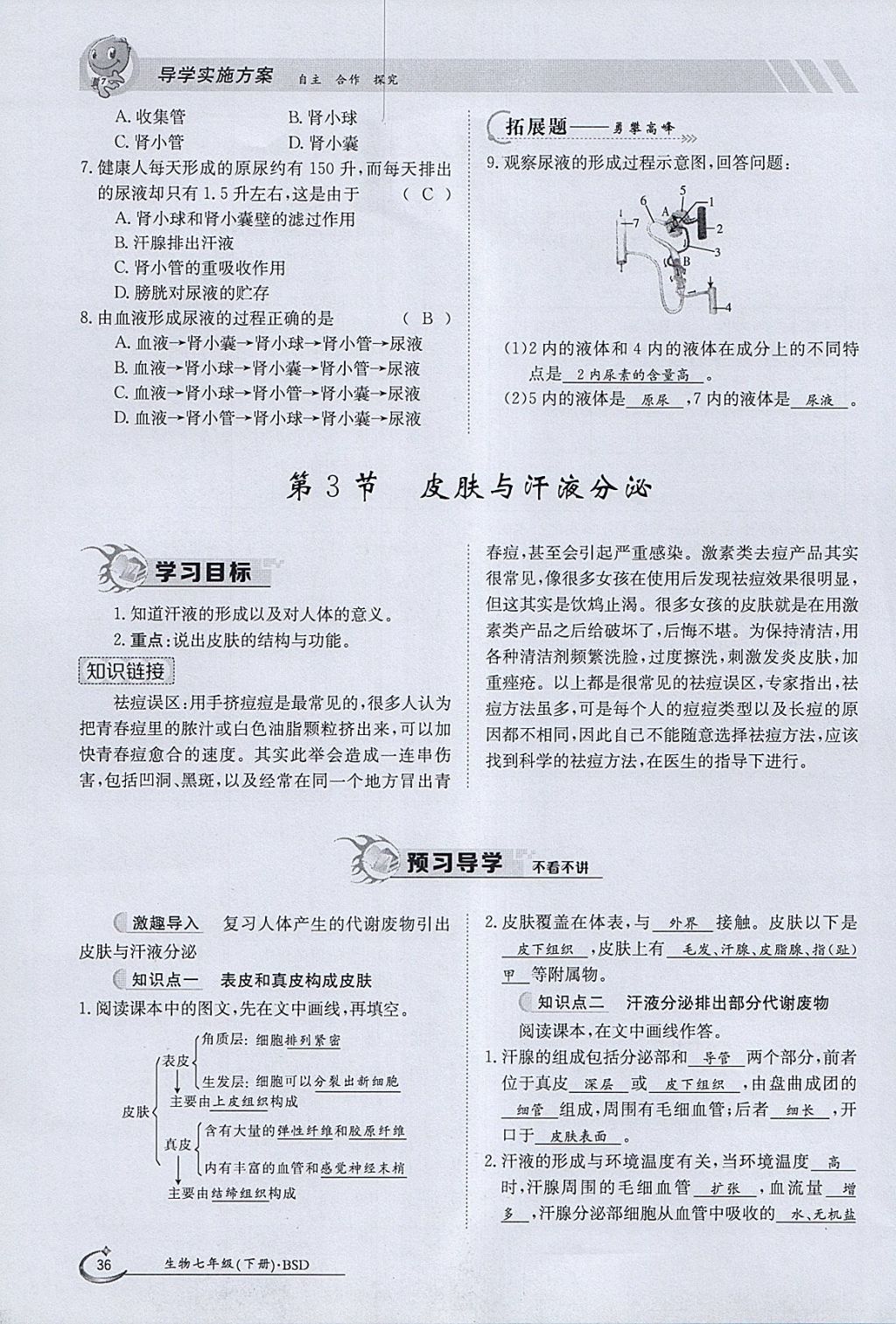 2018年金太阳导学案七年级生物下册北师大版 参考答案第36页