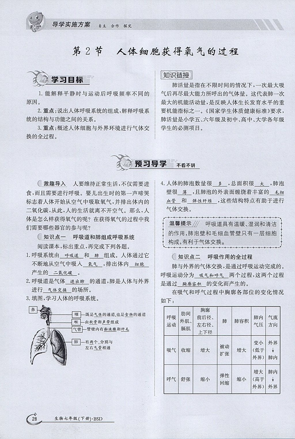 2018年金太阳导学案七年级生物下册北师大版 参考答案第28页