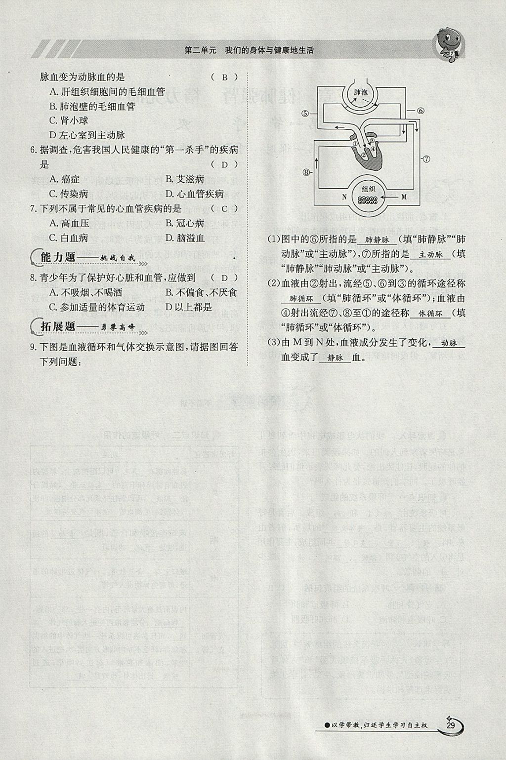 2018年金太陽導(dǎo)學(xué)案七年級生物下冊冀少版 參考答案第29頁