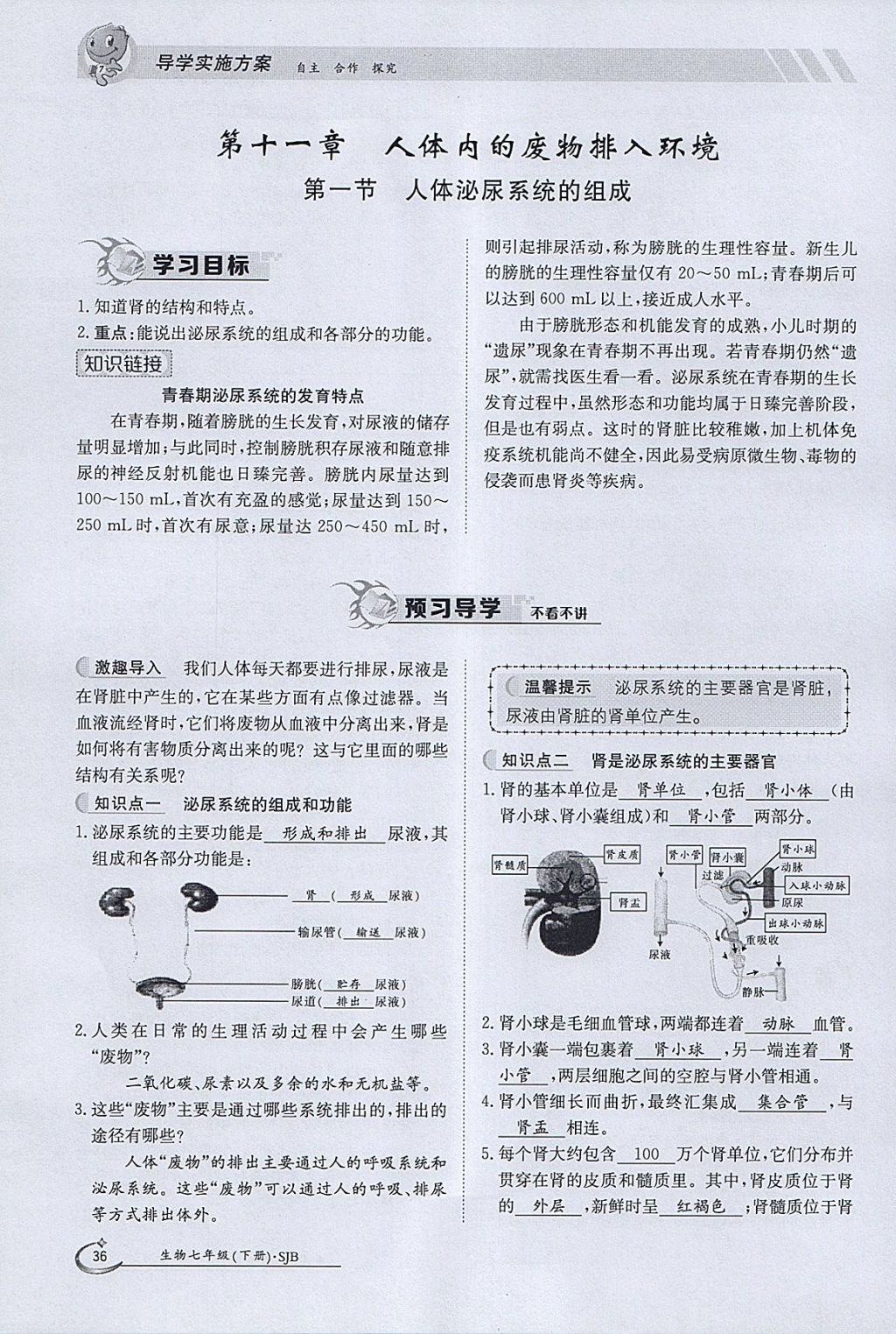 2018年金太阳导学案七年级生物下册苏教版 参考答案第36页