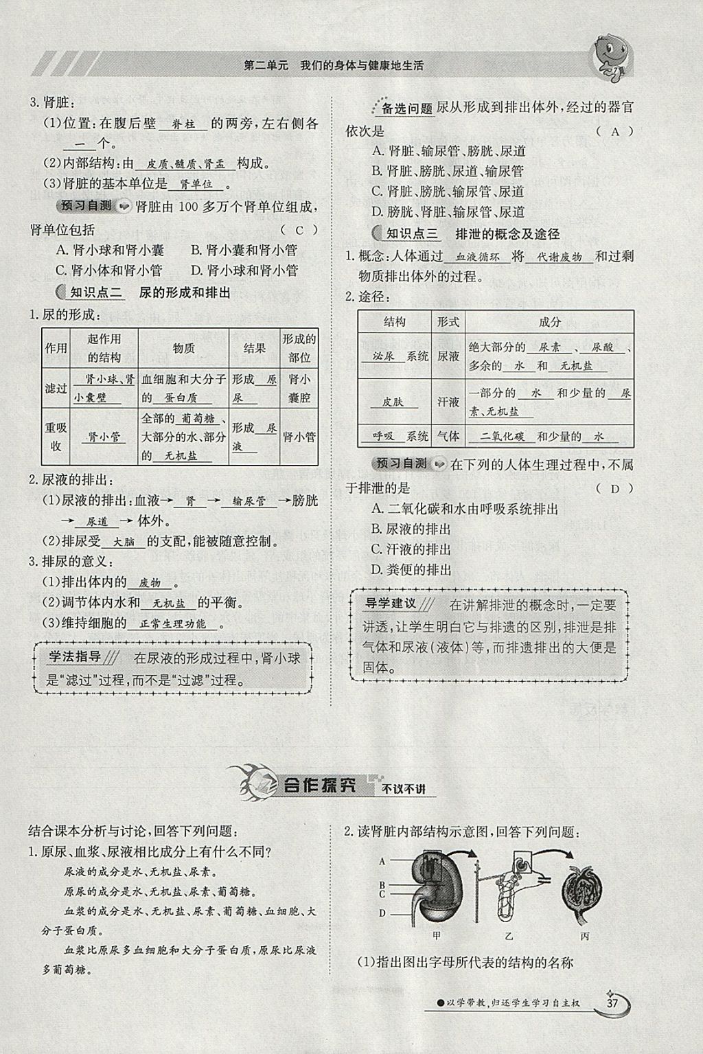 2018年金太陽導學案七年級生物下冊冀少版 參考答案第37頁