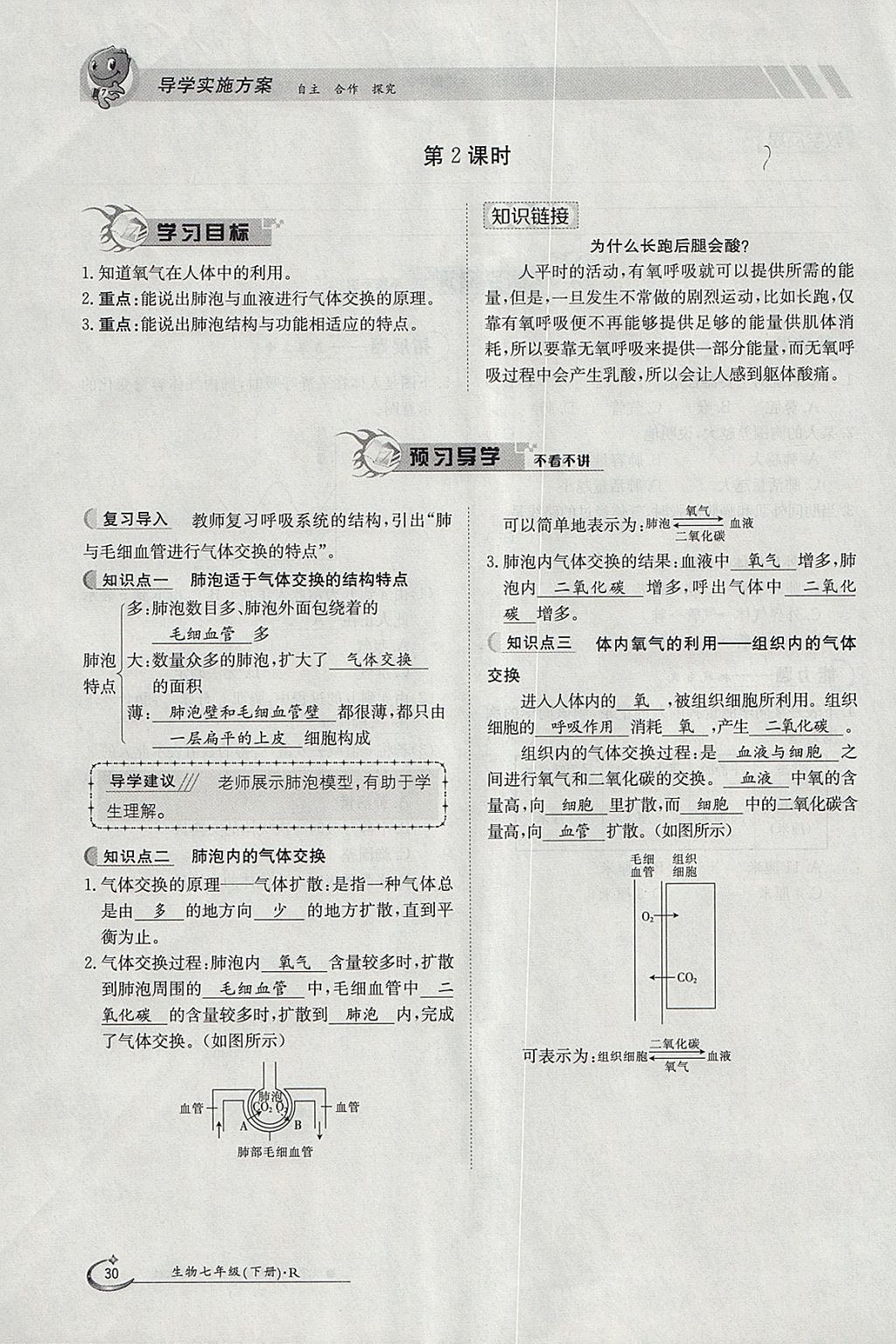 2018年金太陽導(dǎo)學(xué)案七年級(jí)生物下冊(cè)人教版 參考答案第30頁