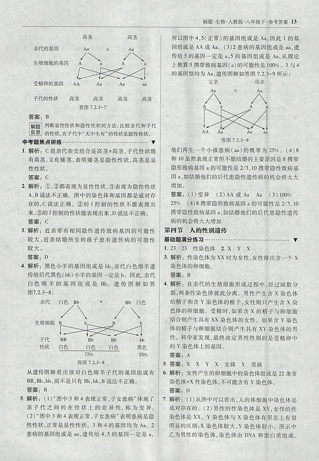 2018年北大綠卡刷題八年級(jí)生物下冊(cè)人教版 參考答案第12頁(yè)