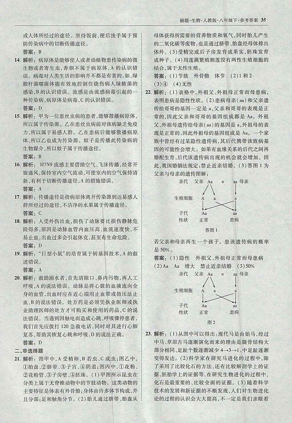 2018年北大綠卡刷題八年級生物下冊人教版 參考答案第34頁