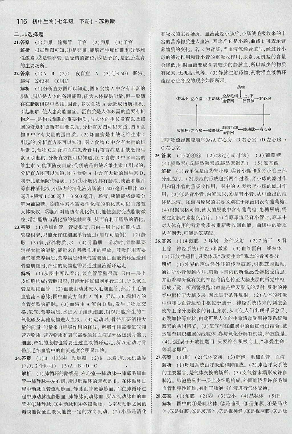 2018年5年中考3年模擬初中生物七年級(jí)下冊蘇教版 參考答案第31頁