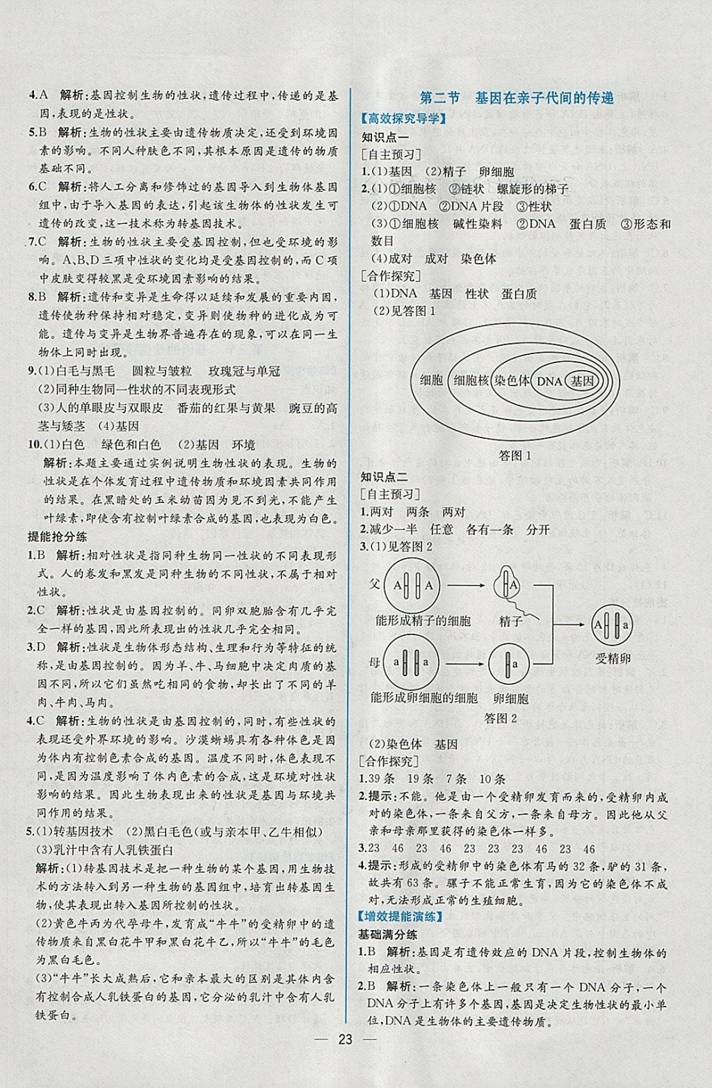 2018年同步導(dǎo)學(xué)案課時(shí)練八年級生物學(xué)下冊人教版 參考答案第7頁