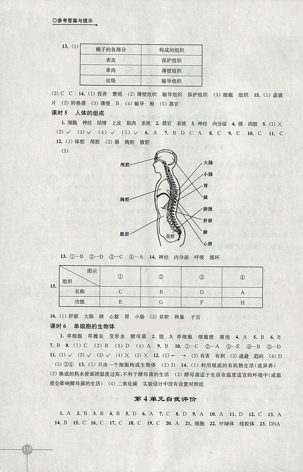 2018年課課練初中生物學(xué)七年級下冊蘇科版 參考答案第2頁