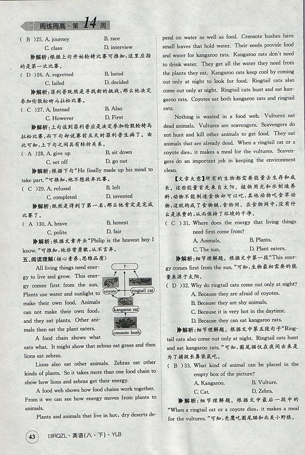 2018年日清周練限時(shí)提升卷八年級英語下冊譯林版 參考答案第43頁