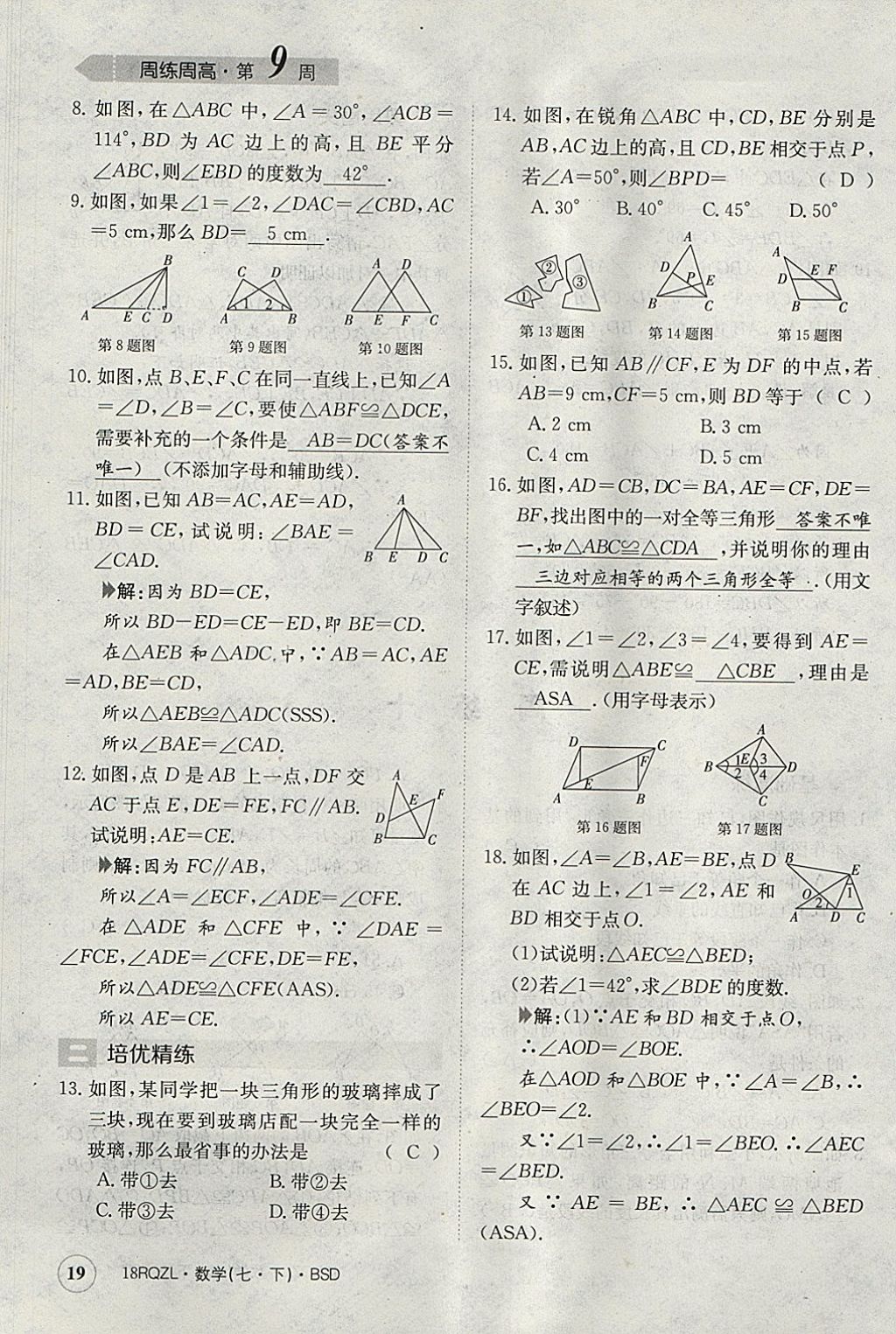 2018年日清周练限时提升卷七年级数学下册北师大版 参考答案第19页