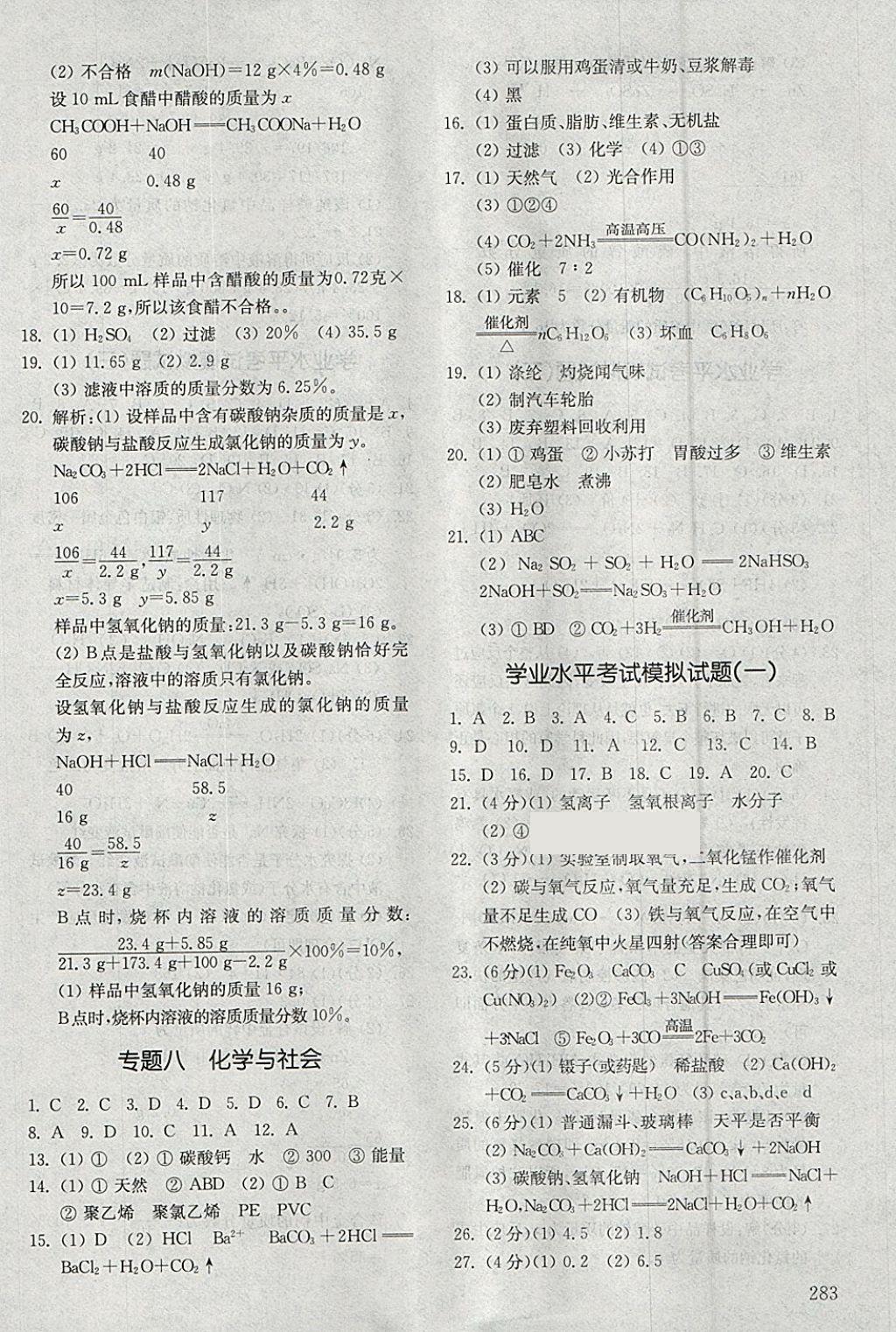 2018年初中基础训练九年级化学下册五四制山东教育出版社 参考答案第17页