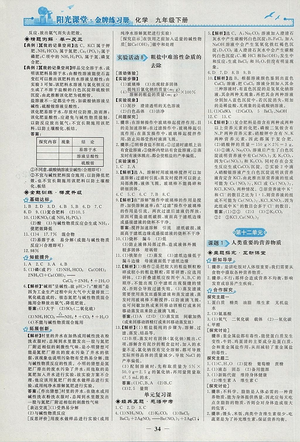 2018年陽光課堂金牌練習(xí)冊九年級化學(xué)下冊人教版 參考答案第10頁