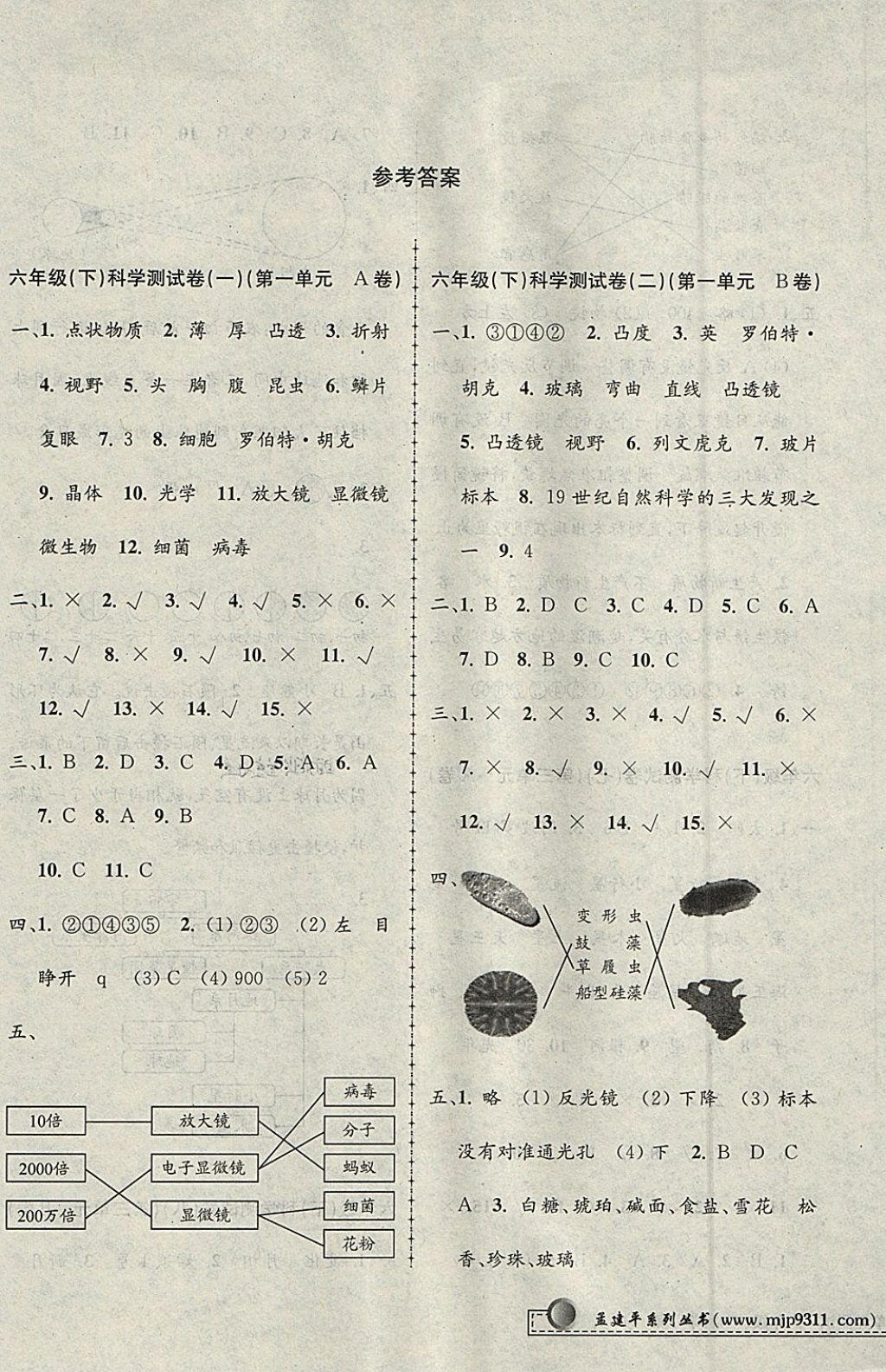 2018年孟建平小學(xué)單元測(cè)試六年級(jí)科學(xué)下冊(cè)教科版 參考答案第1頁