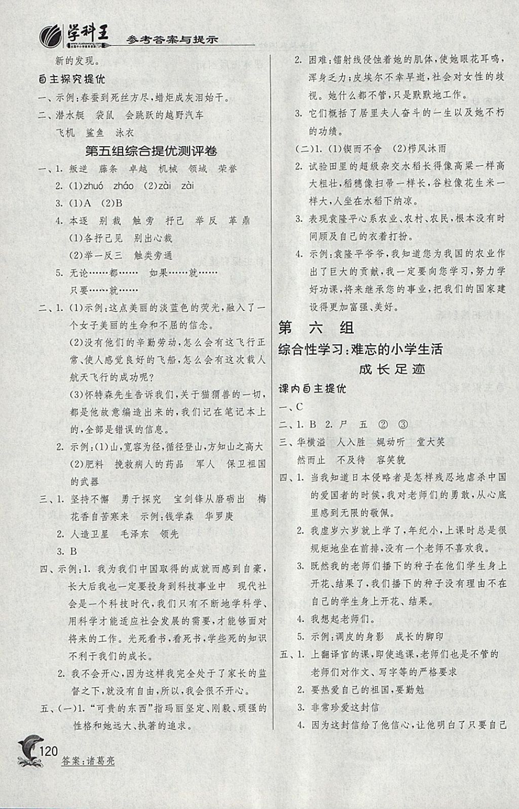 2018年實驗班提優(yōu)訓(xùn)練六年級語文下冊人教版 參考答案第13頁