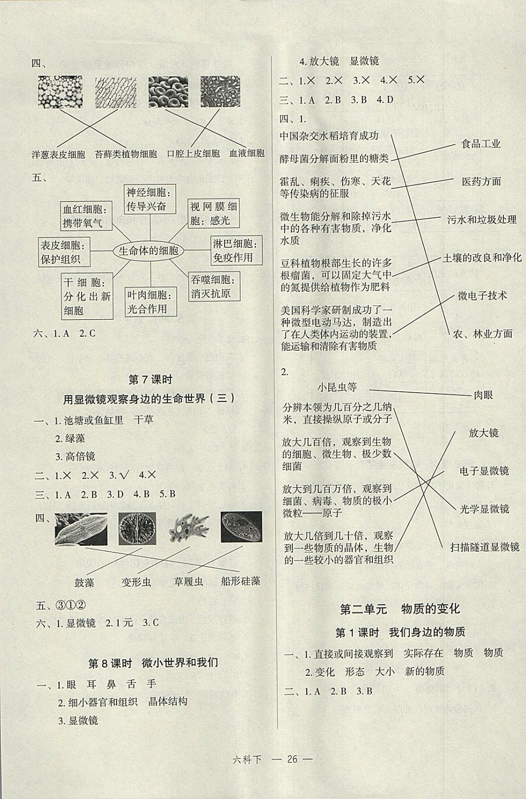 2018年名師面對面先學(xué)后練六年級科學(xué)下冊教科版 參考答案第2頁