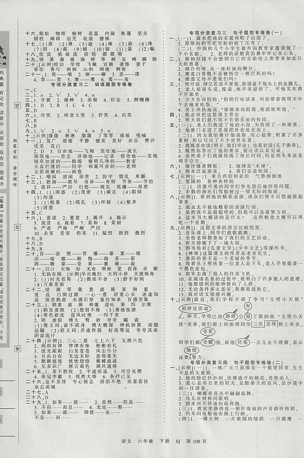 2018年王朝霞考點梳理時習卷六年級語文下冊蘇教版 參考答案第5頁