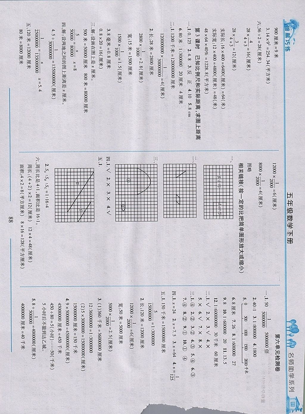 2018年細解巧練五年級數(shù)學(xué)下冊五四制 第7頁