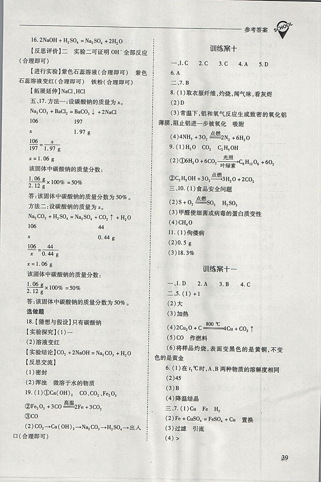 2018年新课程问题解决导学方案九年级化学下册人教版 第39页