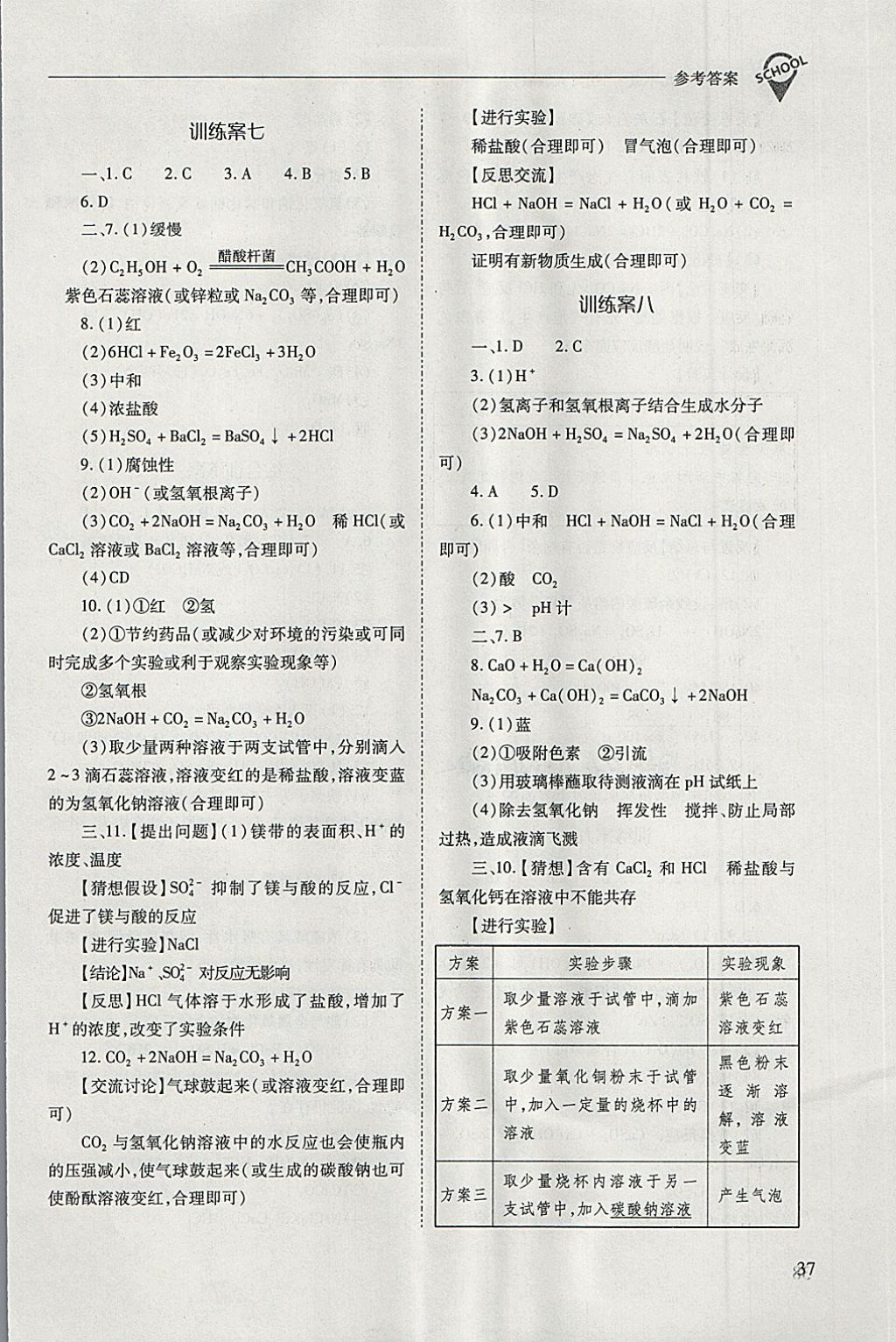 2018年新課程問題解決導(dǎo)學(xué)方案九年級化學(xué)下冊人教版 第37頁