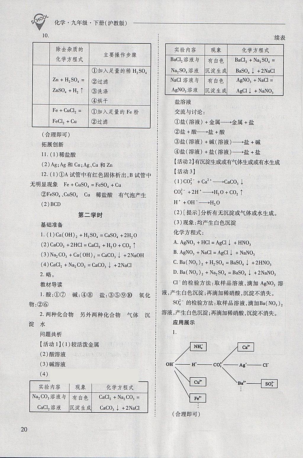 2018年新课程问题解决导学方案九年级化学下册沪教版 第20页