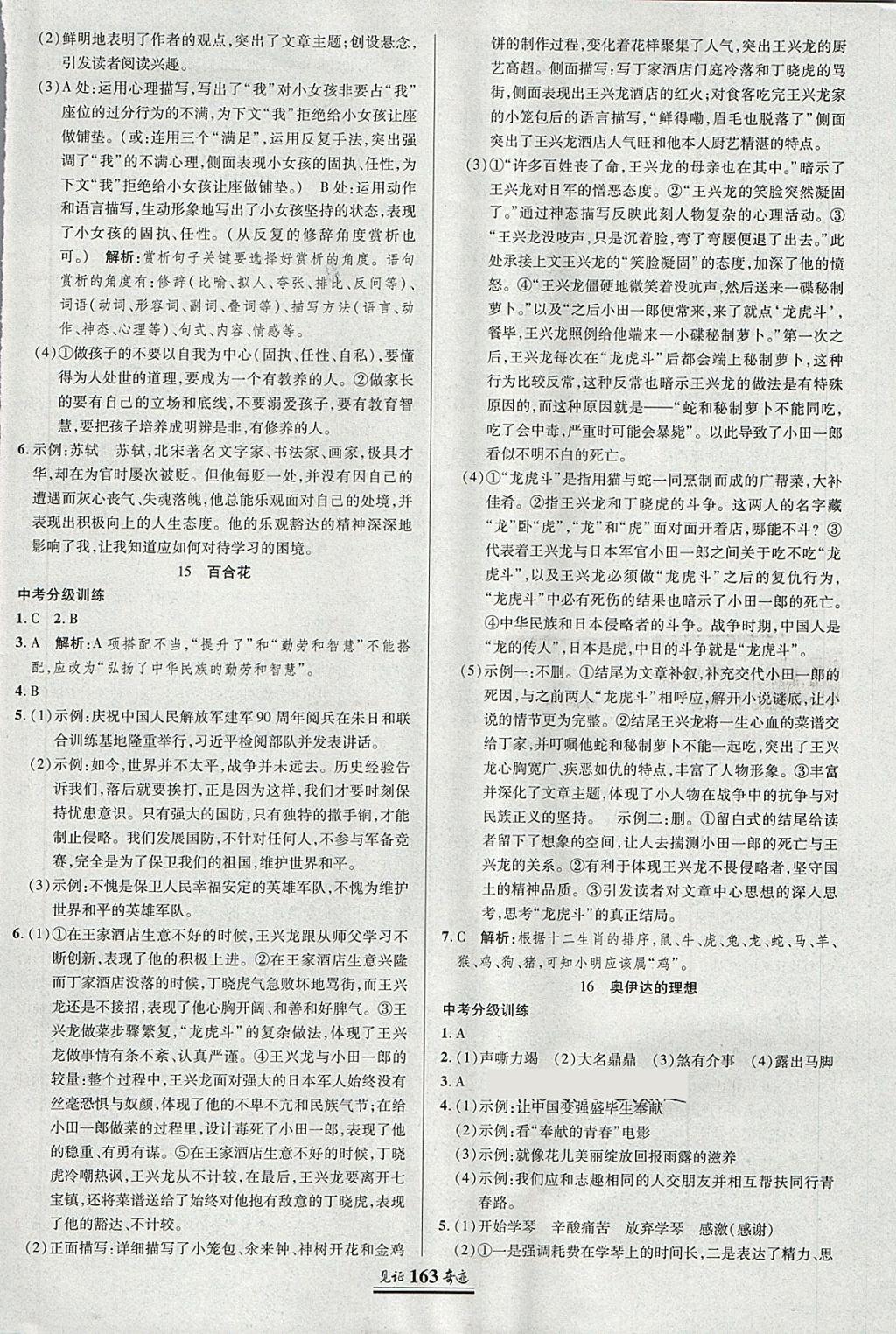 2018年見證奇跡英才學業(yè)設計與反饋九年級語文下冊語文版 第6頁