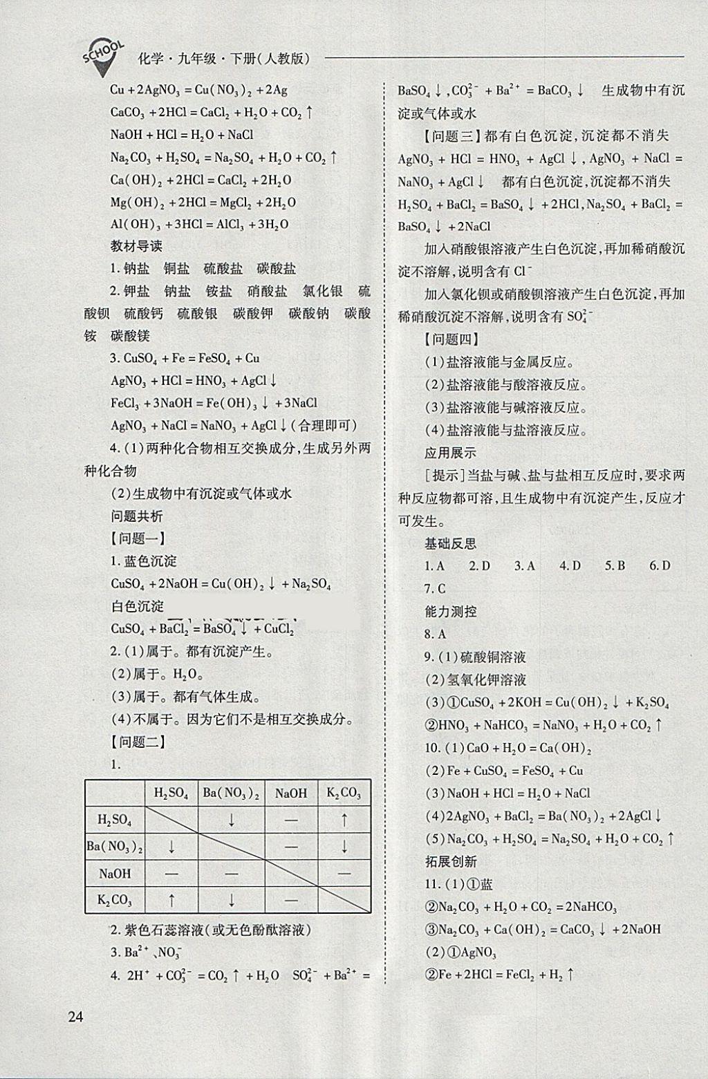 2018年新课程问题解决导学方案九年级化学下册人教版 第24页