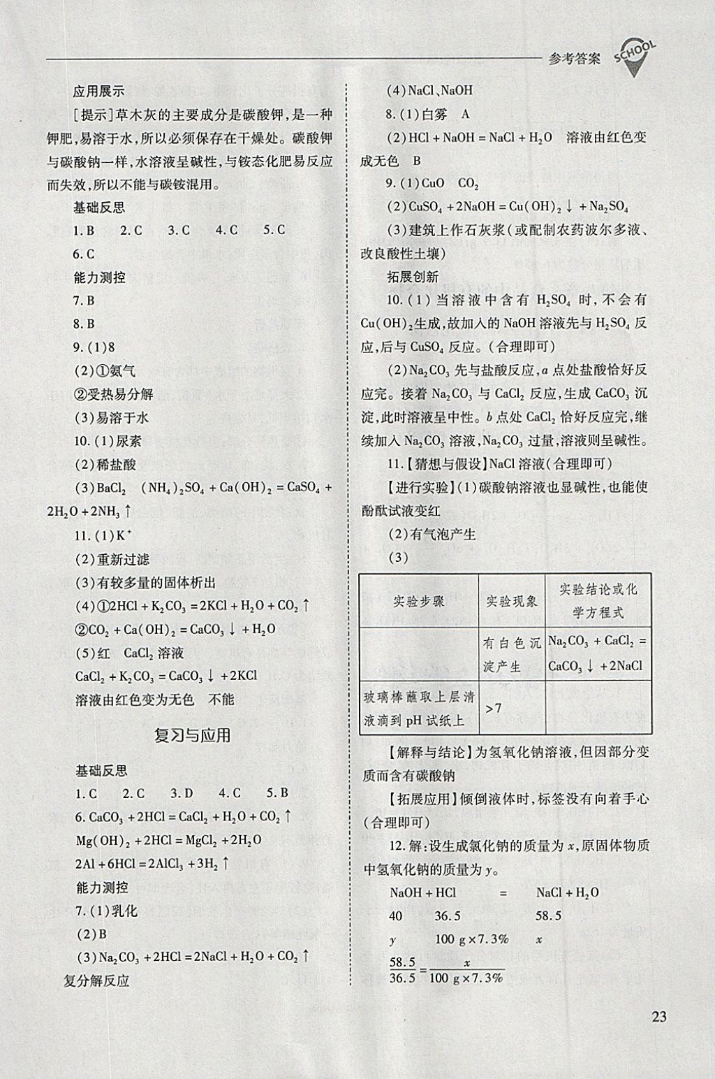 2018年新课程问题解决导学方案九年级化学下册沪教版 第23页