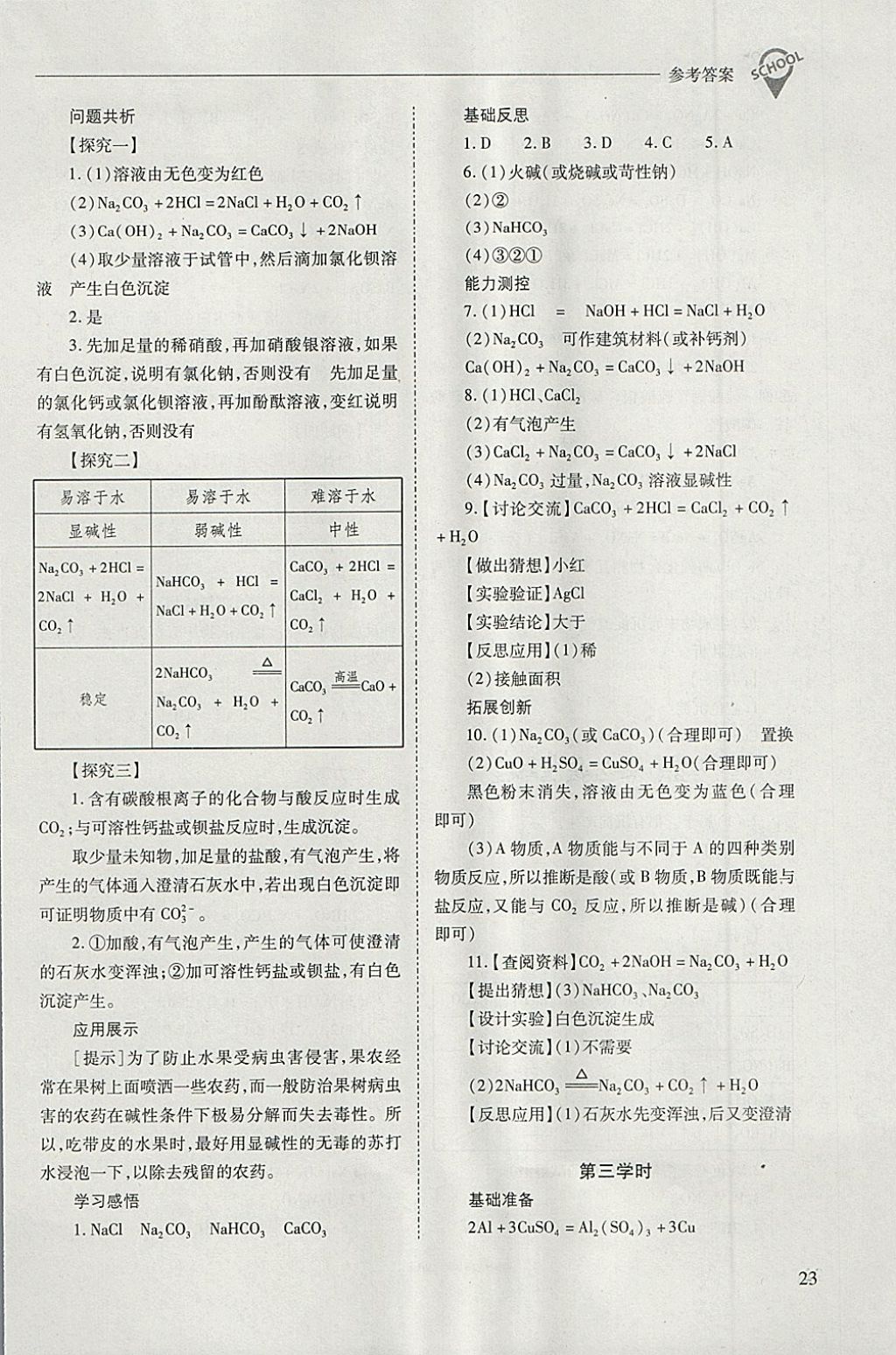 2018年新课程问题解决导学方案九年级化学下册人教版 第23页