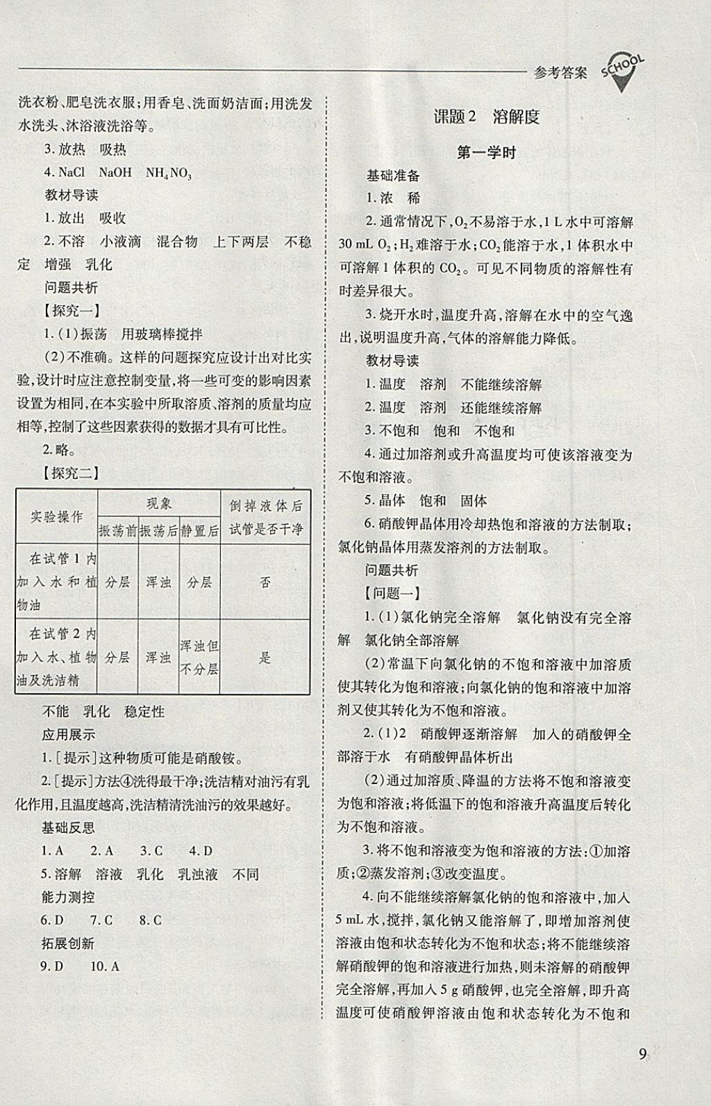 2018年新课程问题解决导学方案九年级化学下册人教版 第9页