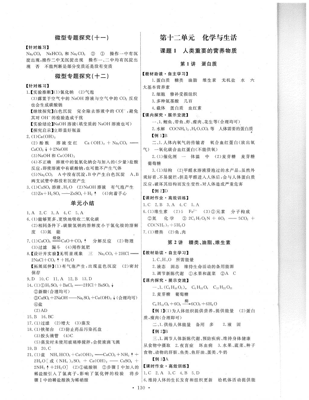 2018年能力培养与测试九年级化学下册人教版 参考答案第17页