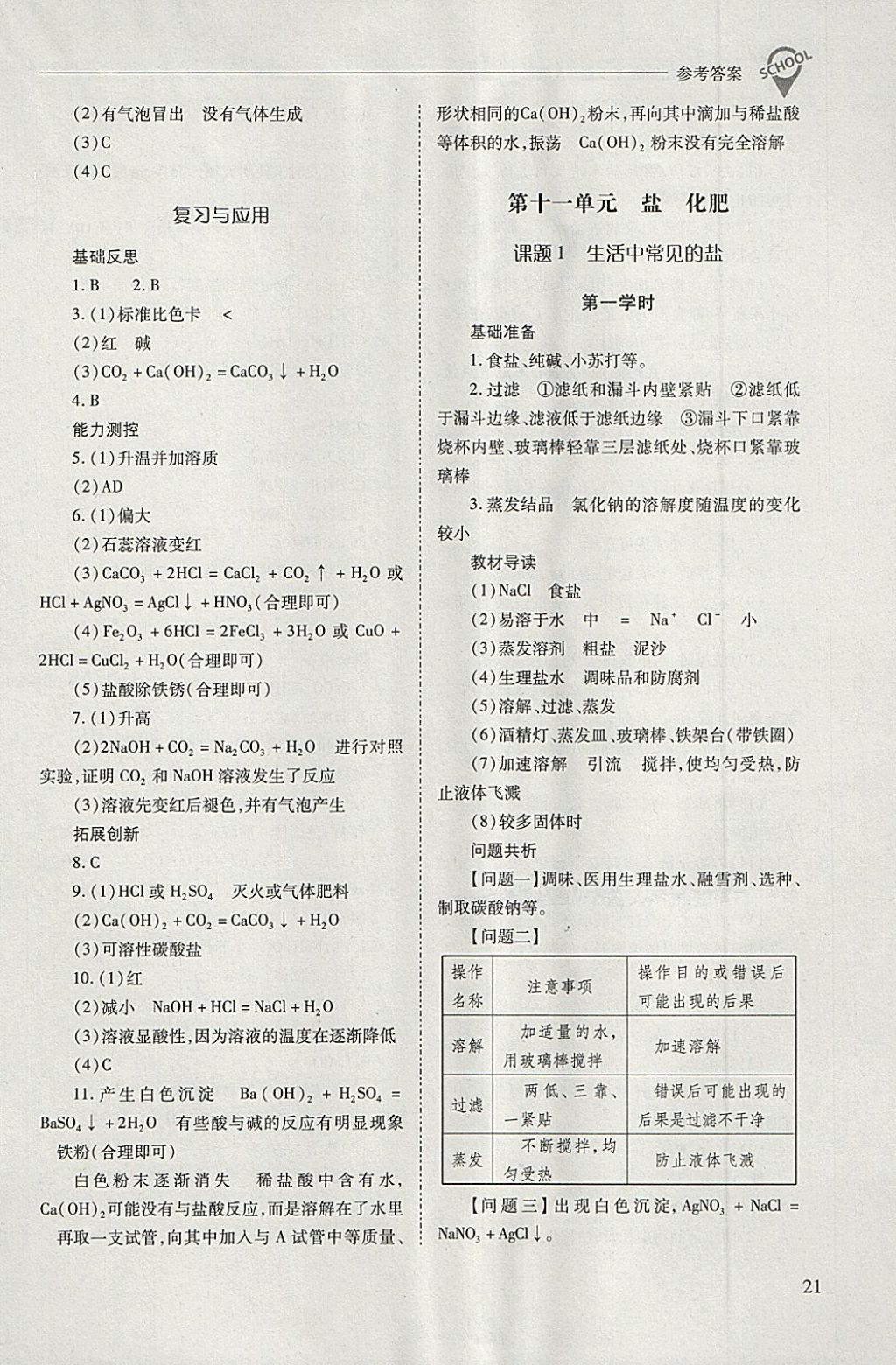 2018年新课程问题解决导学方案九年级化学下册人教版 第21页