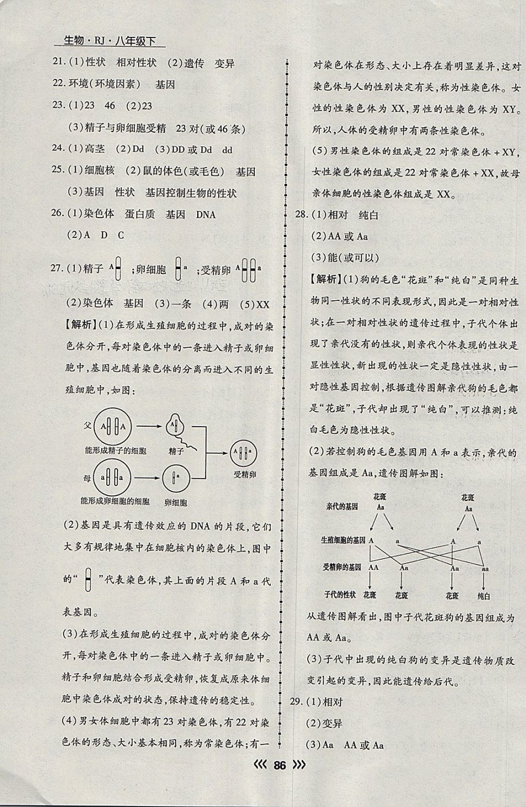 2018年學(xué)升同步練測(cè)八年級(jí)生物下冊(cè)人教版 第10頁(yè)