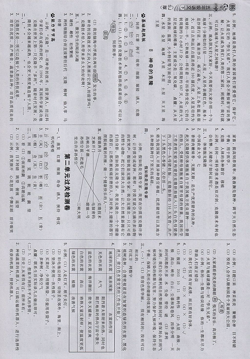 2018年綜合應(yīng)用創(chuàng)新題典中點五年級語文下冊蘇教版 第4頁