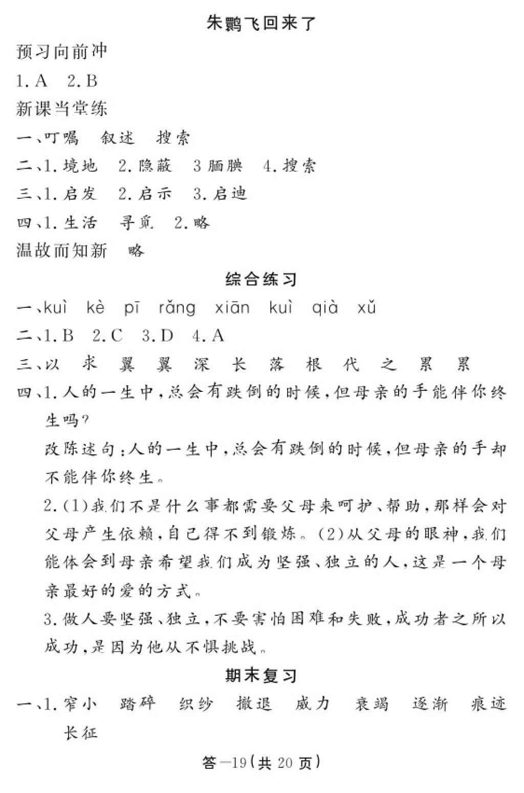 2018年語文作業(yè)本四年級下冊北師大版江西教育出版社 參考答案第19頁